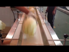 Machine horizontale de paquet d'écoulement