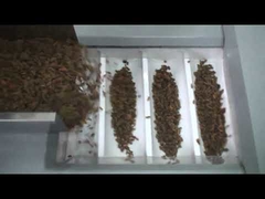 La machine à emballer de raisin sec de prix usine, machine à emballer d'écrous, a séché la machine à emballer de dates rouges