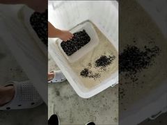 Regarder : Présentation de la trieuse de couleurs CCD pour minéraux LC-M4H, trieuse de couleurs de grains