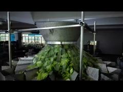 Voir Pourquoi Choisir la Machine d'Emballage de Sachets Préformés de Graines de Citrouille, Machine de Pesage et d'Emballage pour Sachets à Fermeture Éclair