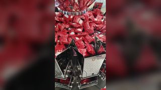 Machine d'emballage automatique de sachets préfabriqués rotatifs Bag-in-Bag